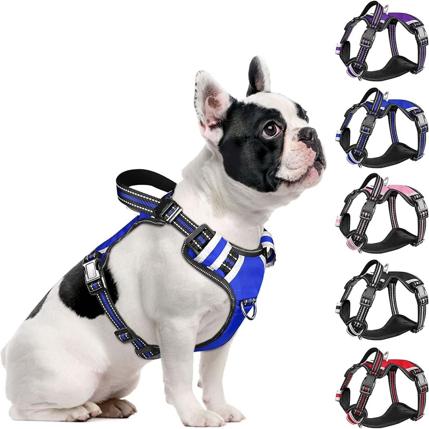 WINSEE Dog Harness No Pull, 4 Snap Buckles Pet Harness with 2 Leash Clips, Adjustable Soft Padded Dog Vest, Reflective Pet Oxford Walking Vest with Easy Control Handle, NO Need Go over Dog’S Head Animals & Pet Supplies > Pet Supplies > Dog Supplies > Dog Apparel WINSEE Dark Blue M（Neck : 17-24" , Chest: 18-31.5"） 