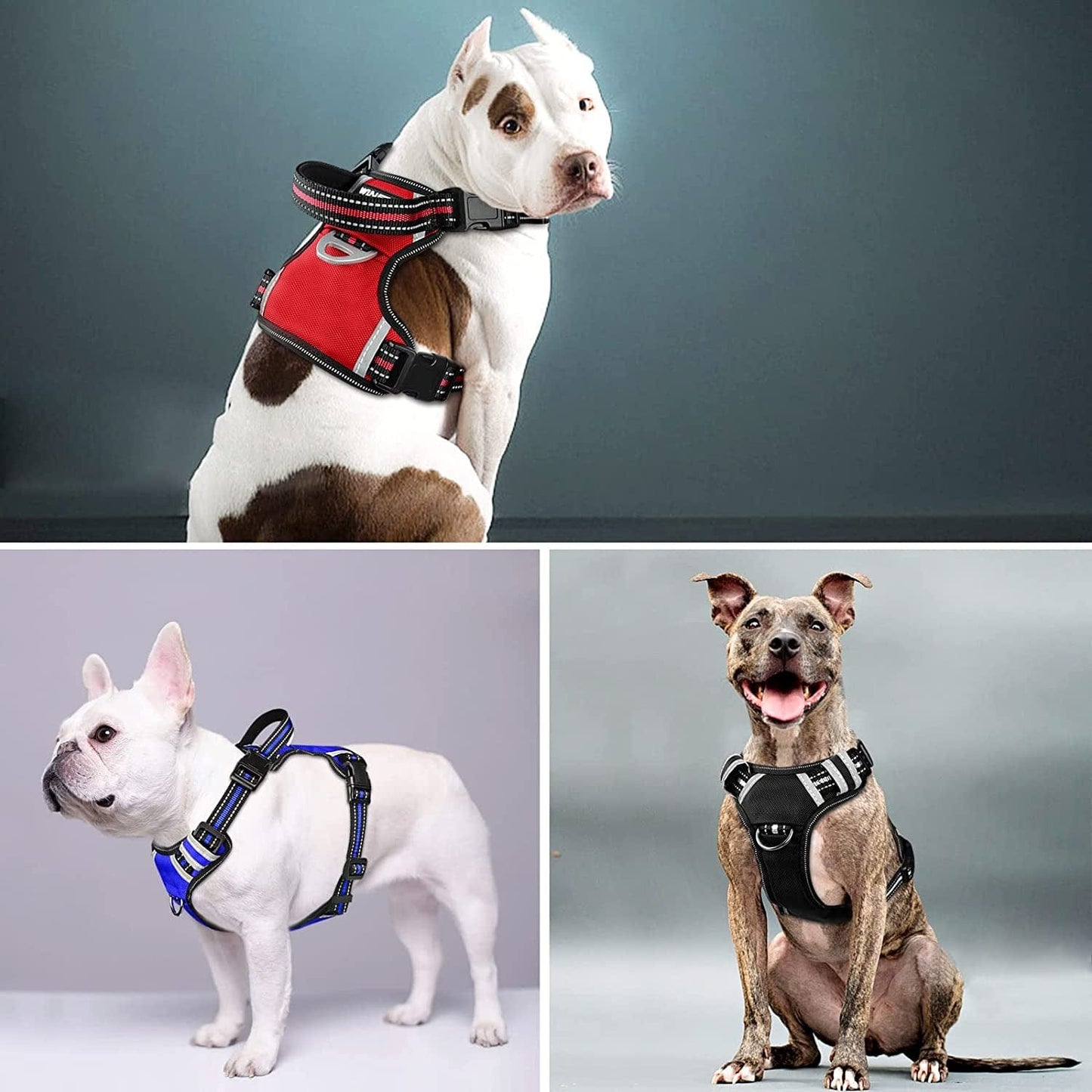 WINSEE Dog Harness No Pull, 4 Snap Buckles Pet Harness with 2 Leash Clips, Adjustable Soft Padded Dog Vest, Reflective Pet Oxford Walking Vest with Easy Control Handle, NO Need Go over Dog’S Head Animals & Pet Supplies > Pet Supplies > Dog Supplies > Dog Apparel WINSEE   