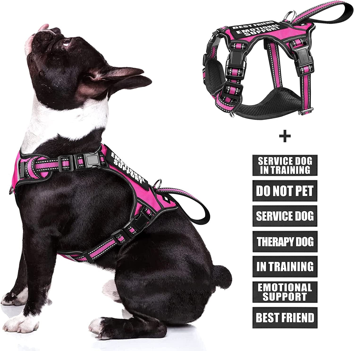 Extra large outlet service dog vest