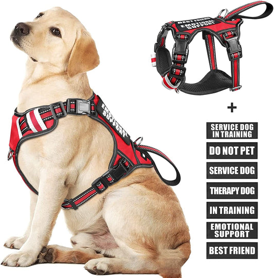 WINSEE Service Dog Vest No Pull Dog Harness with 7 Dog Patches, Reflective Pet Harness with Durable Soft Padded Handle for Training Small, Medium, Large, and Extra-Large Dogs (Large, Red) Animals & Pet Supplies > Pet Supplies > Dog Supplies > Dog Apparel WINSEE Red Large 