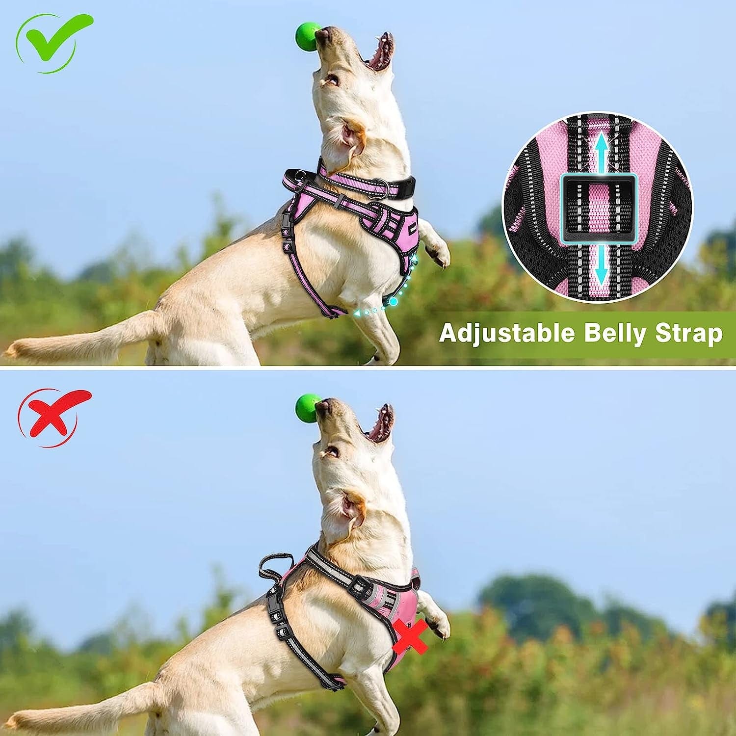 WINSEE Step in Dog Harness Collar and Leash Set, All-In-One Reflective No Escape Dog Harness with Adjustable Buckles for Pet Puppies, Small, Medium, Large, and Extra-Large Dogs Animals & Pet Supplies > Pet Supplies > Dog Supplies > Dog Apparel WINSEE   