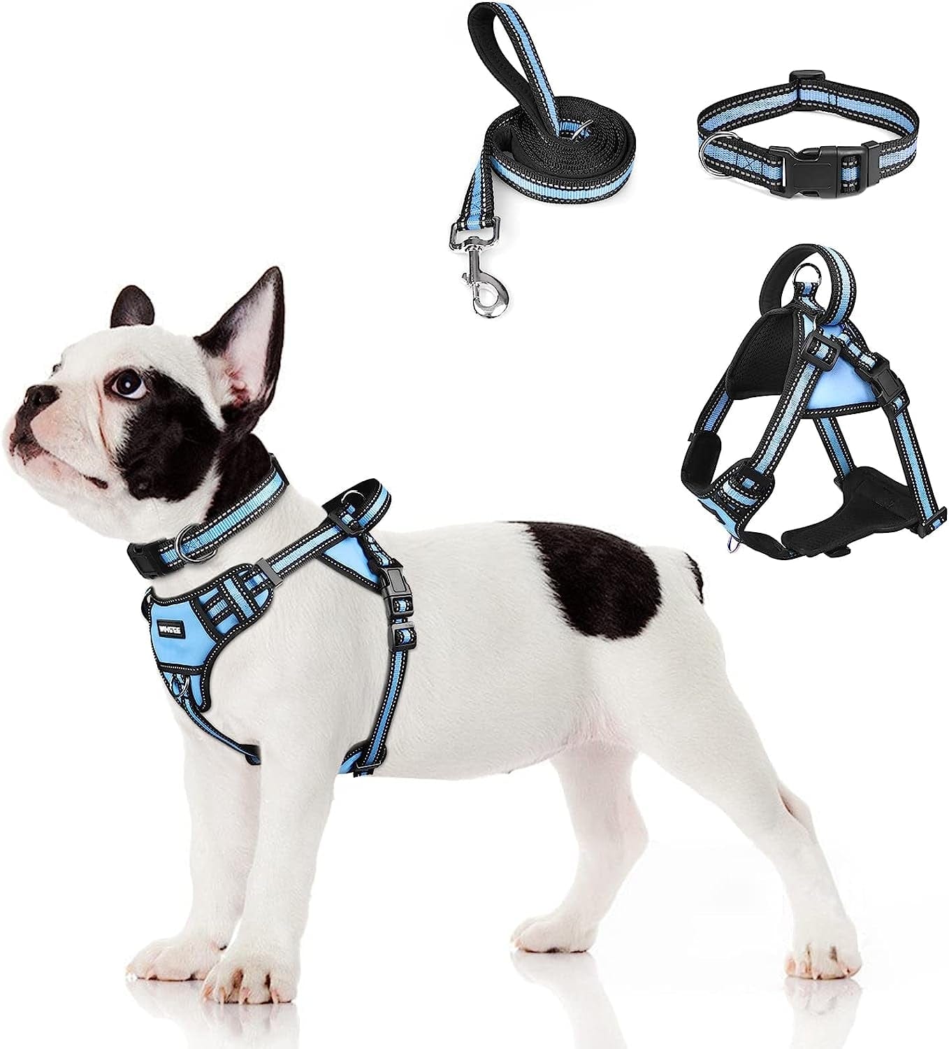 WINSEE Step in Dog Harness Collar and Leash Set, All-In-One Reflective No Escape Dog Harness with Adjustable Buckles for Pet Puppies, Small, Medium, Large, and Extra-Large Dogs Animals & Pet Supplies > Pet Supplies > Dog Supplies > Dog Apparel WINSEE Blue Small 