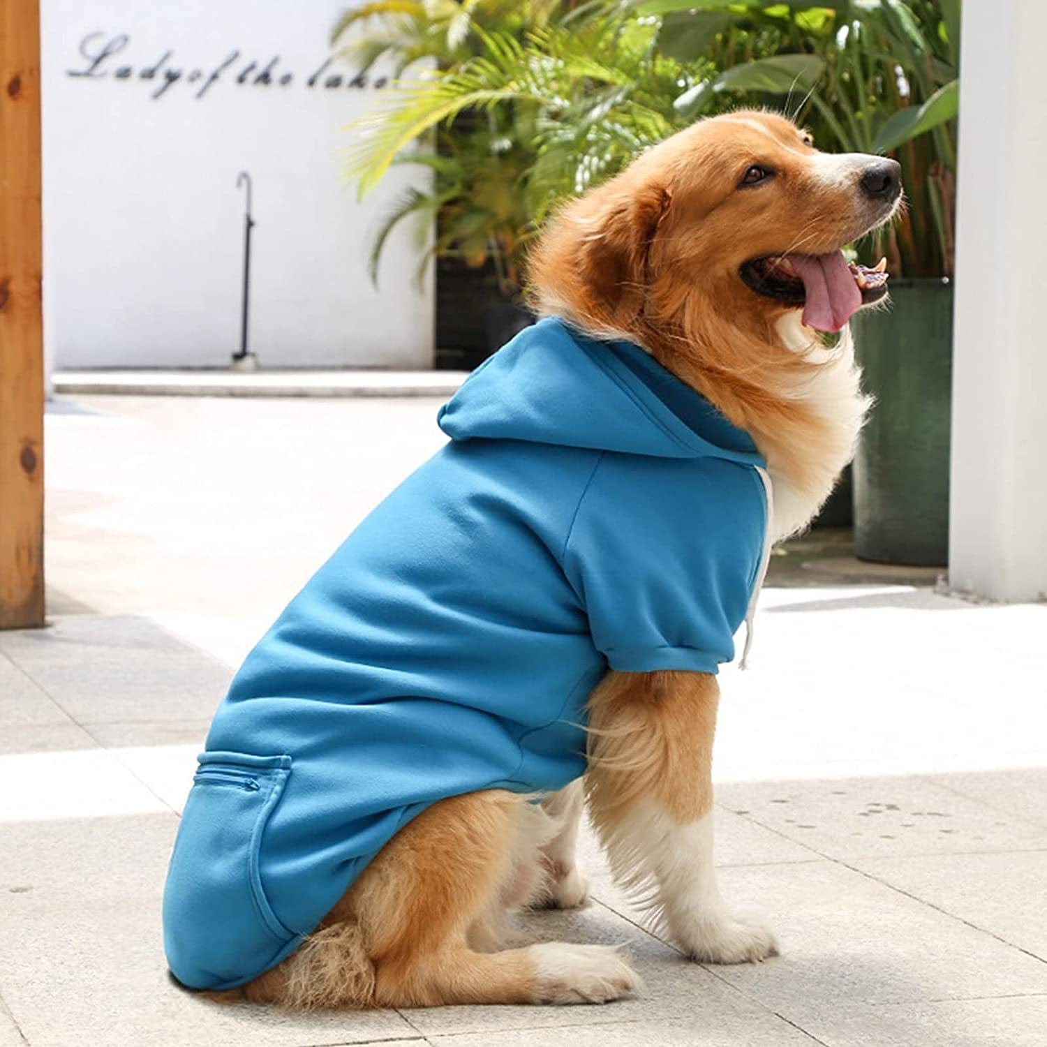 Winter Clothes for Dogs Small Female Pet Autumn Pocket Sweatshirt Dogs Hoodies Pet Fleece Lightweight Stretchy T-Shirts Soft Apparel Animals & Pet Supplies > Pet Supplies > Dog Supplies > Dog Apparel HonpraD   