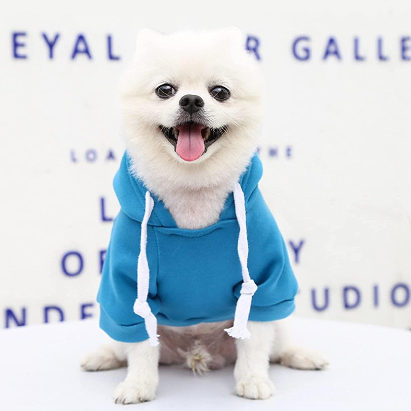 Winter Clothes for Dogs Small Female Pet Autumn Pocket Sweatshirt Dogs Hoodies Pet Fleece Lightweight Stretchy T-Shirts Soft Apparel Animals & Pet Supplies > Pet Supplies > Dog Supplies > Dog Apparel HonpraD   