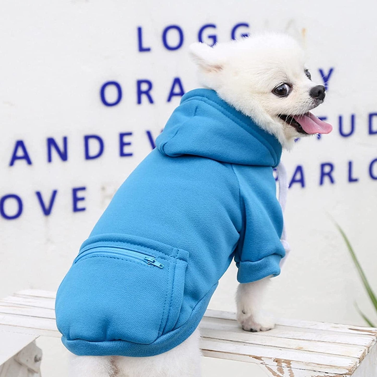 Winter Clothes for Dogs Small Female Pet Autumn Pocket Sweatshirt Dogs Hoodies Pet Fleece Lightweight Stretchy T-Shirts Soft Apparel Animals & Pet Supplies > Pet Supplies > Dog Supplies > Dog Apparel HonpraD   