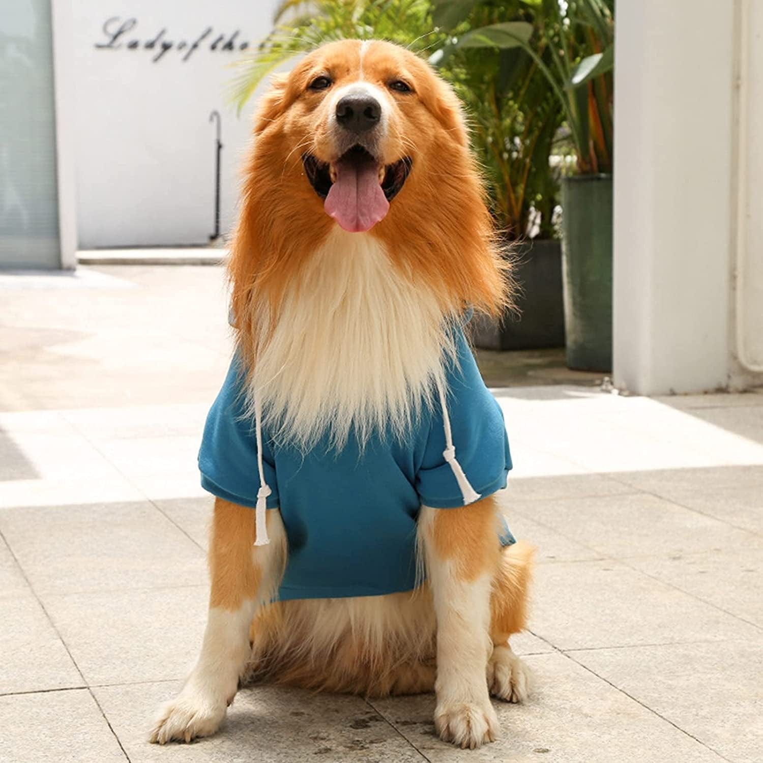 Winter Clothes for Dogs Small Female Pet Autumn Pocket Sweatshirt Dogs Hoodies Pet Fleece Lightweight Stretchy T-Shirts Soft Apparel Animals & Pet Supplies > Pet Supplies > Dog Supplies > Dog Apparel HonpraD   