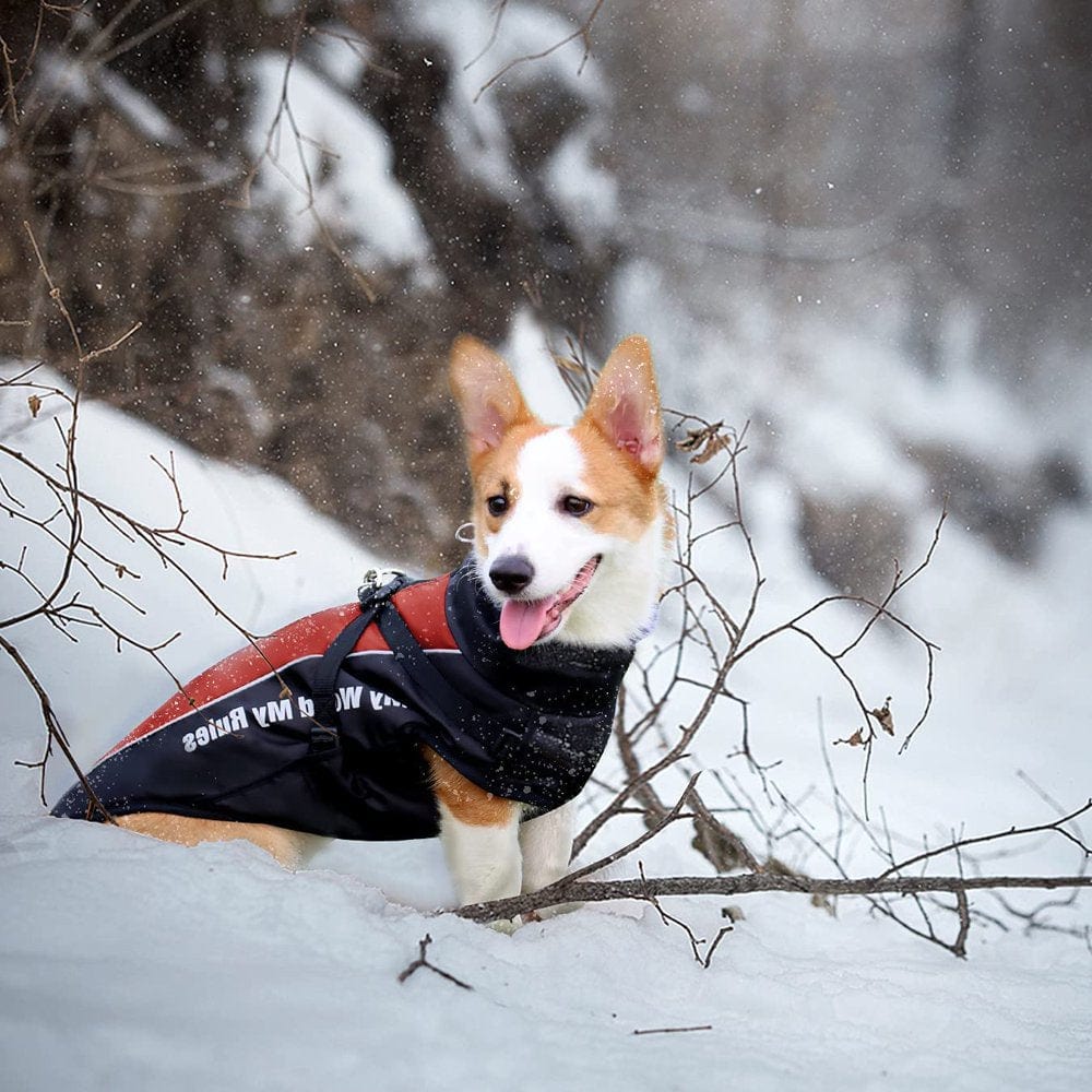 Winter Dog Coat Warm Fleece Dog Jacket for Cold Weather Reflective Zip up Puppy Dog Sport Vest Outdoor Pet Sweater Apparel Clothes for Small Medium Large Dogs Animals & Pet Supplies > Pet Supplies > Dog Supplies > Dog Apparel Bbonlinedress   