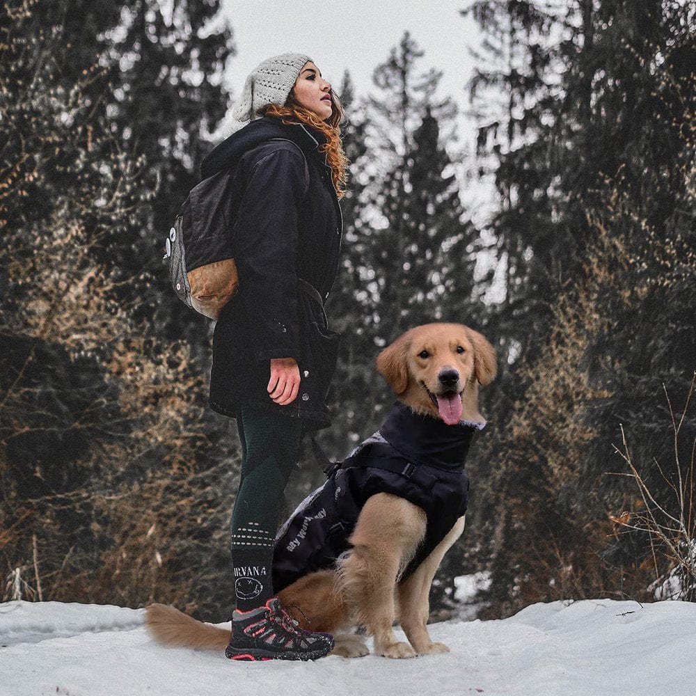 Winter Dog Coat Warm Fleece Dog Jacket for Cold Weather Reflective Zip up Puppy Dog Sport Vest Outdoor Pet Sweater Apparel Clothes for Small Medium Large Dogs Animals & Pet Supplies > Pet Supplies > Dog Supplies > Dog Apparel Bbonlinedress   