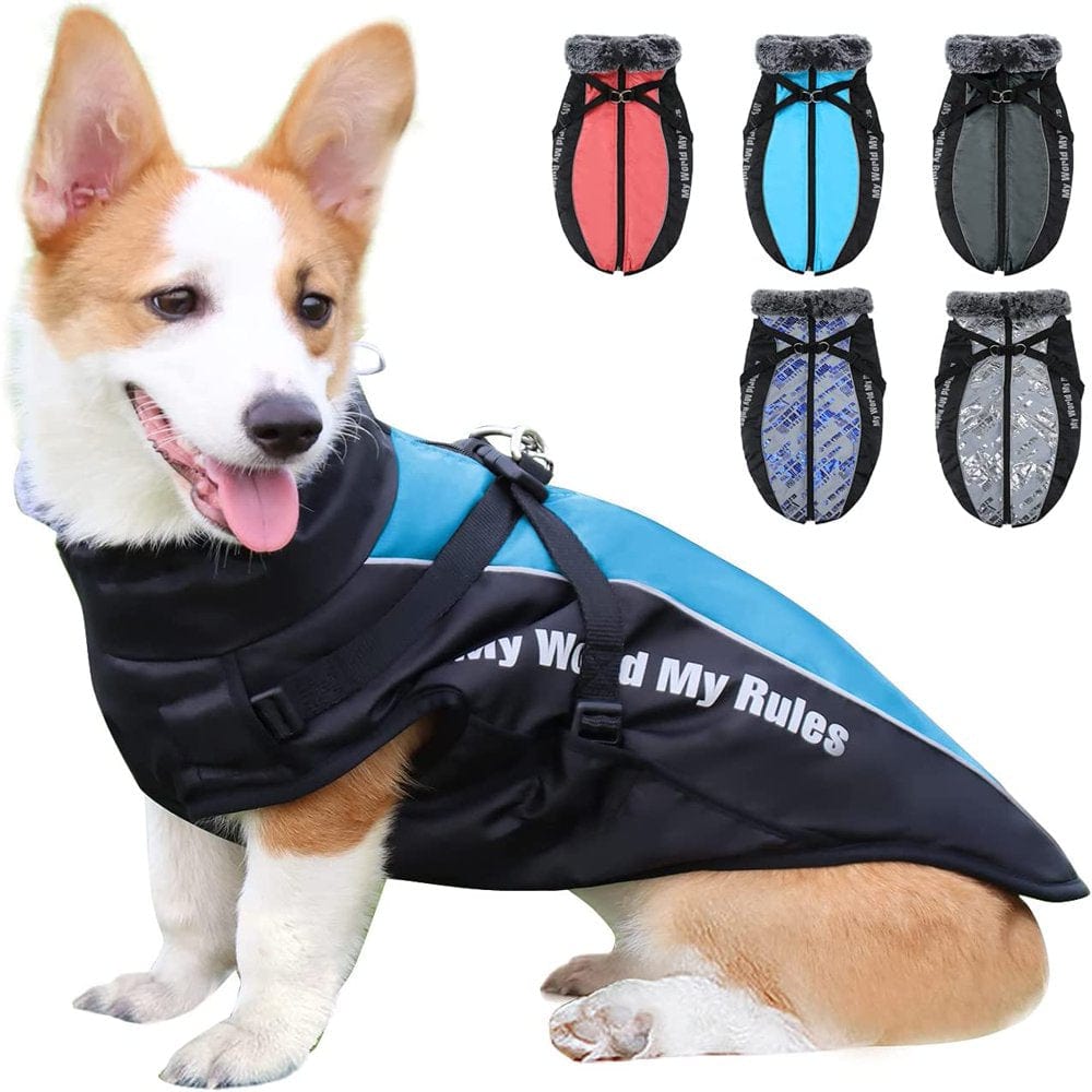 Winter Dog Coat Warm Fleece Dog Jacket for Cold Weather Reflective Zip up Puppy Dog Sport Vest Outdoor Pet Sweater Apparel Clothes for Small Medium Large Dogs Animals & Pet Supplies > Pet Supplies > Dog Supplies > Dog Apparel Bbonlinedress 2XL Blue 