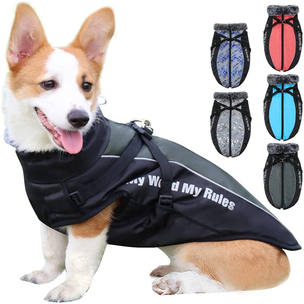 Winter Dog Coat Warm Fleece Dog Jacket for Cold Weather Reflective Zip up Puppy Dog Sport Vest Outdoor Pet Sweater Apparel Clothes for Small Medium Large Dogs Animals & Pet Supplies > Pet Supplies > Dog Supplies > Dog Apparel Bbonlinedress 2XL Gray 