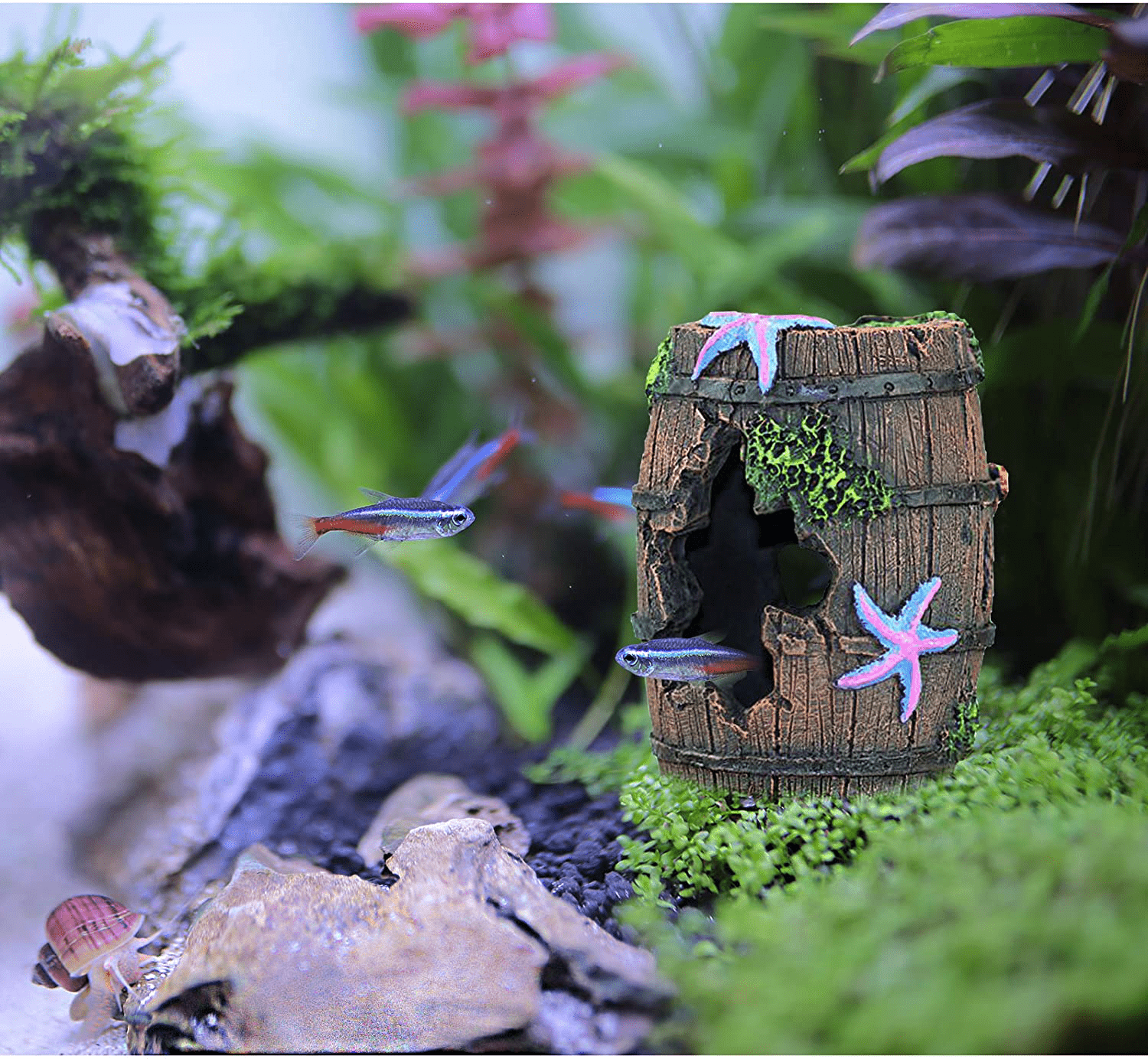  PTFJZ Fish Tank Decorations-Betta Fish Accessories