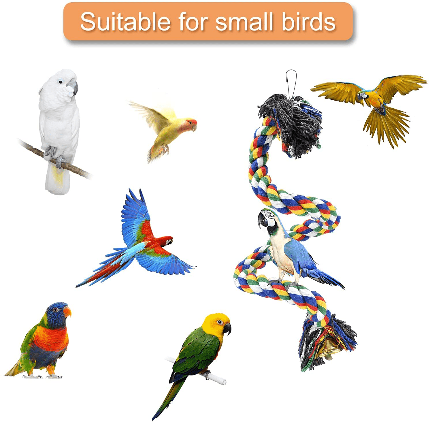 Wishlotus Bird Perches, Parrot Colorful Climbing Rope Swing Toys Parrot Stand with Bell and Hanging Clip for Parrots, Budgies, Macaws, Parakeets, and Other Small Birds. Animals & Pet Supplies > Pet Supplies > Bird Supplies > Bird Ladders & Perches WishLotus   