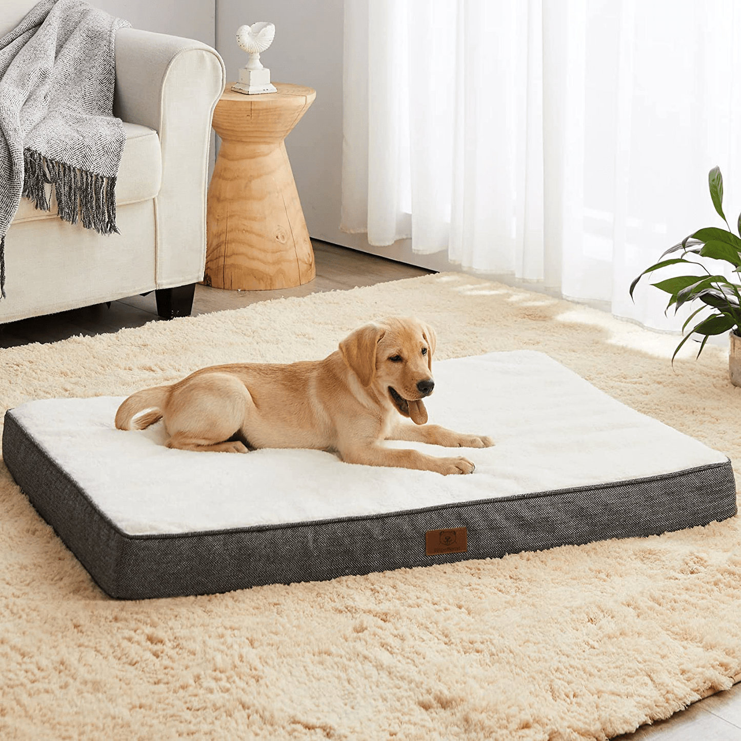 WNPETHOME Dog Beds for Large Dogs, Orthopedic Dog Bed for Medium Large Dogs, Egg- Foam Dog Crate Bed,Dog Mattress with Removable Washable Cover & Non-Slip Bottom（Large Dog Bed 30/36/42） Animals & Pet Supplies > Pet Supplies > Dog Supplies > Dog Beds WNPETHOME Black 30 x 20 x 3 inch 