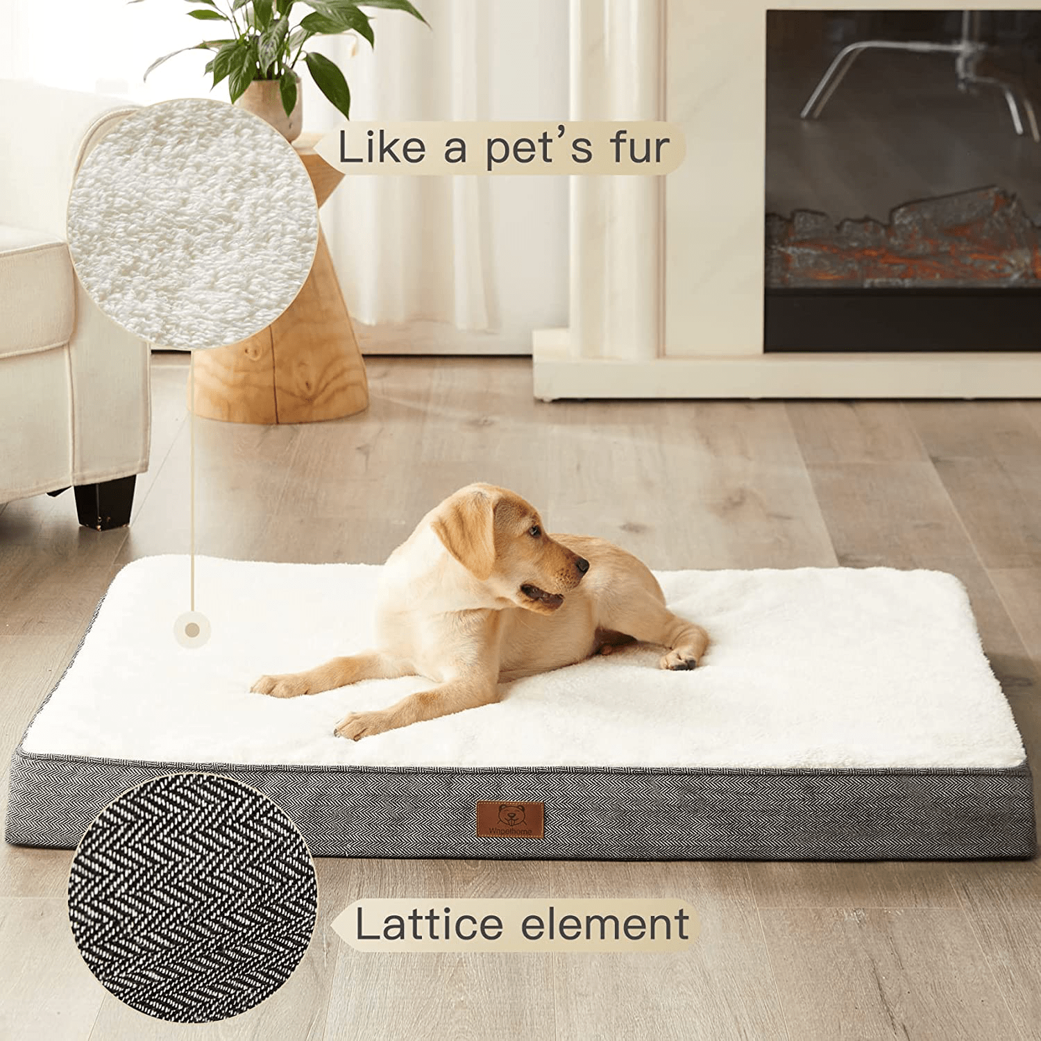 Removable Pet Kennel for Cats and Dogs, Comfortable Sleeping Pad, Tear  Resistant Mattress, Warm - AliExpress