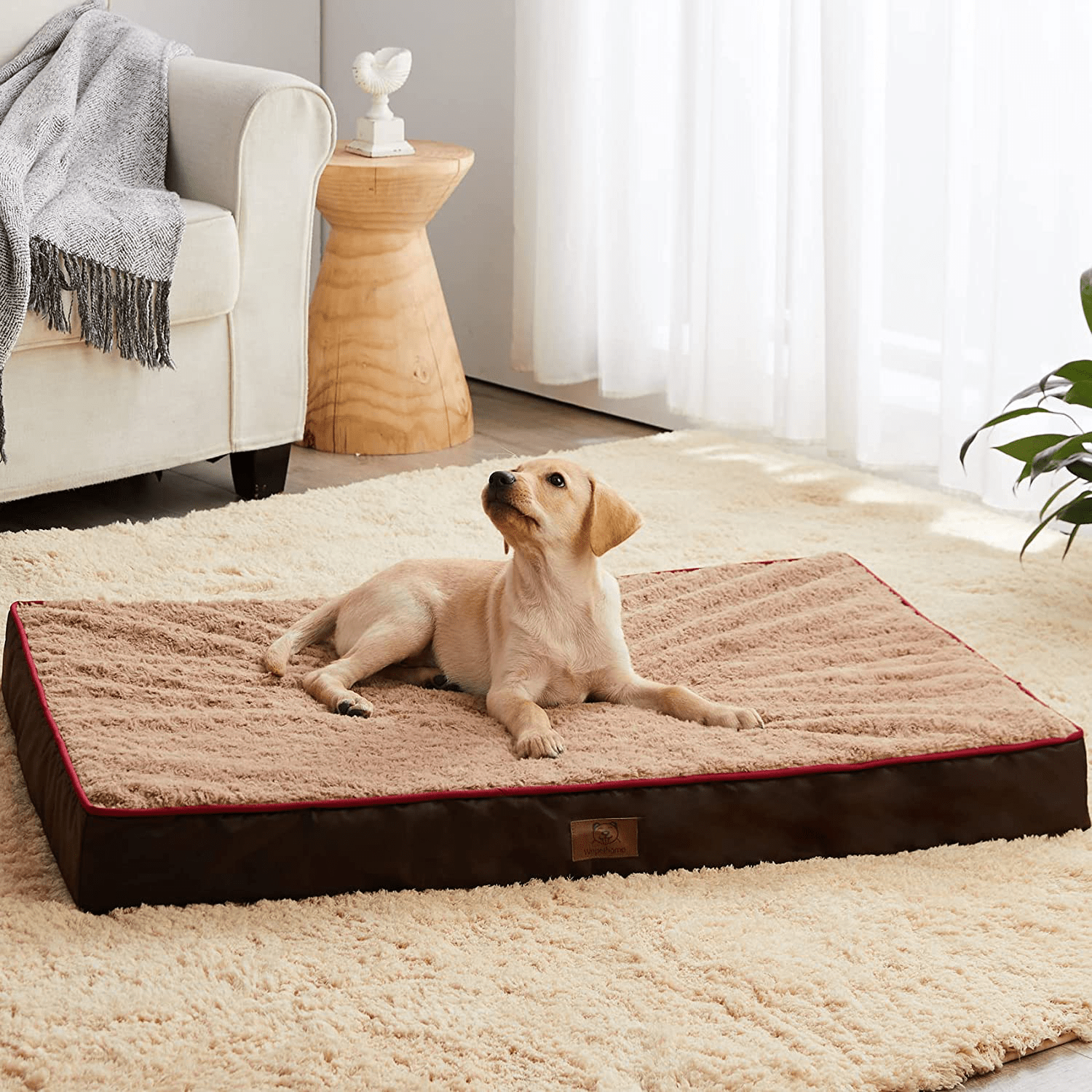 WNPETHOME Orthopedic Large Dog Bed, Dog Bed for Large Dogs with Egg Foam Crate Pet Bed with Soft Rose Plush Waterproof Dog Bed Cover Washable Removable Animals & Pet Supplies > Pet Supplies > Dog Supplies > Dog Beds WNPETHOME Brown 30 x 20 x 3 inch 