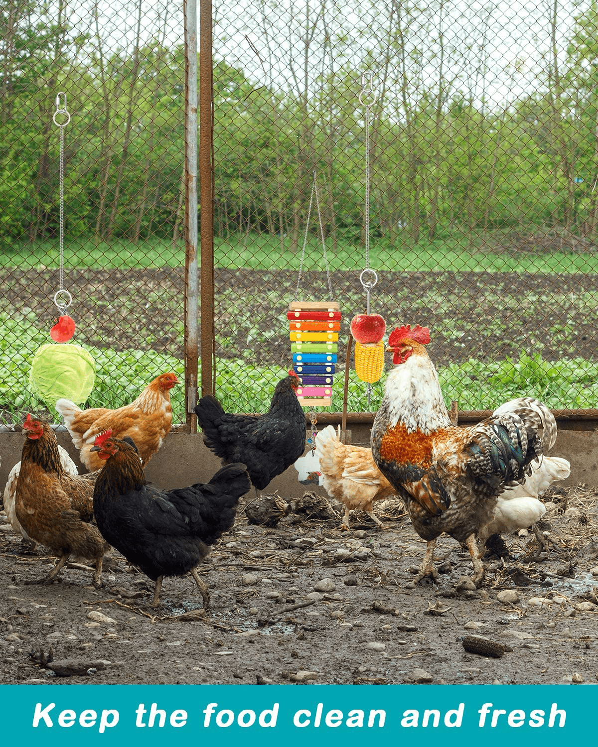 Woiworco 4 Packs Chicken Toys for Coop, Chicken Xylophone Toys with Mirror, Vegetable Hanging Feeder and Chicken Swing Toys for Chicken Hens Animals & Pet Supplies > Pet Supplies > Bird Supplies > Bird Toys Woiworco   
