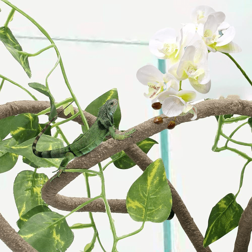WOLEDOE Reptile Artificial Orchid Plants for Terrarium Decor, Crested Gecko Tank Accessories Fit Bearded Dragon Leopard Lizard Snakes Chameleon Habitat - White