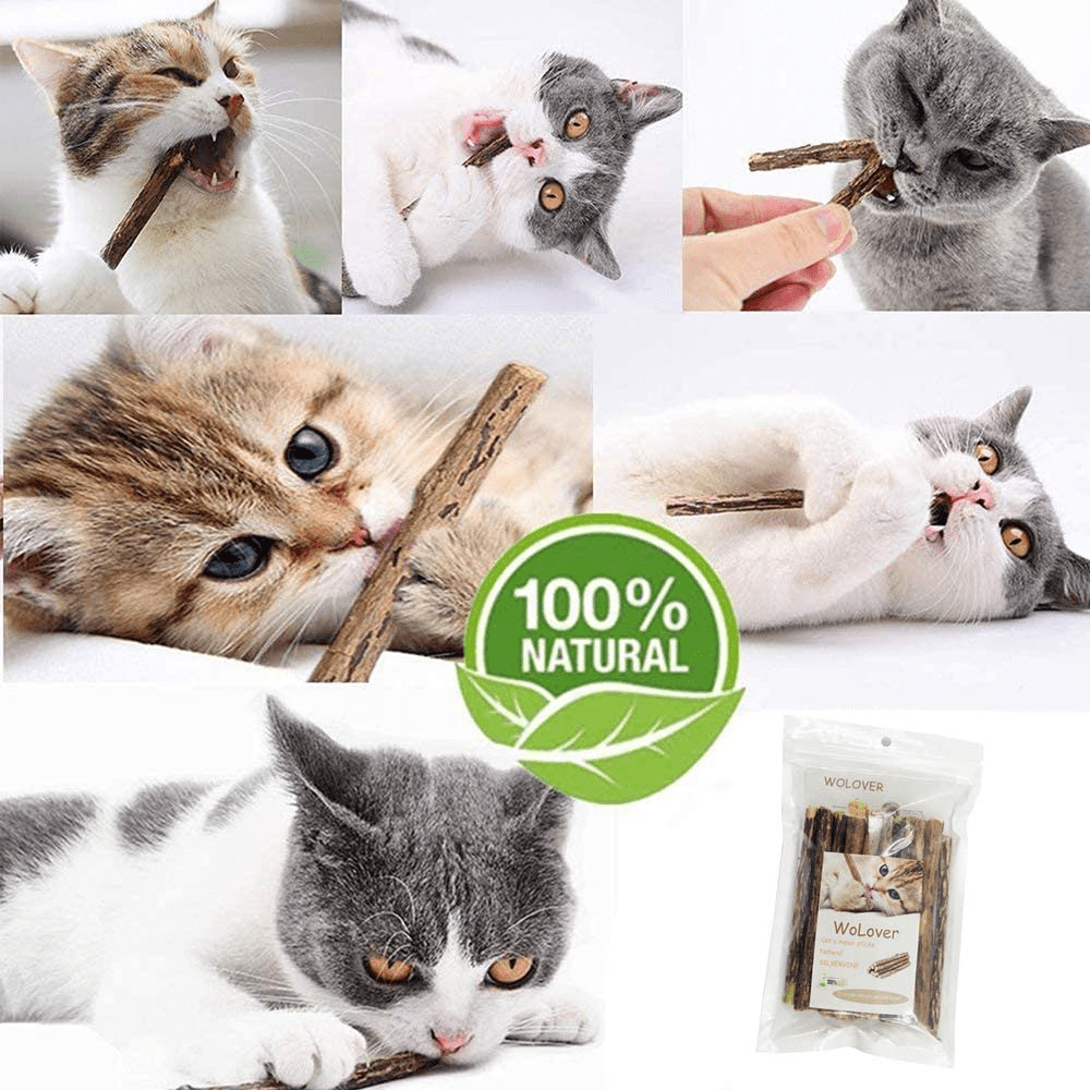 Wolover Silvervine Sticks for Cats, Natural Catnip Sticks Matatabi Chew Sticks Teeth Molar Chew Toys for Cat Kitten Kitty Animals & Pet Supplies > Pet Supplies > Cat Supplies > Cat Toys WoLover   