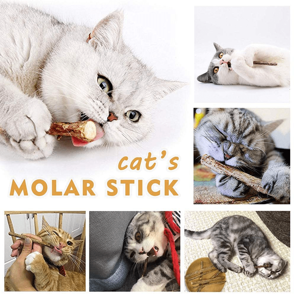 Wolover Silvervine Sticks for Cats, Natural Catnip Sticks Matatabi Chew Sticks Teeth Molar Chew Toys for Cat Kitten Kitty Animals & Pet Supplies > Pet Supplies > Cat Supplies > Cat Toys WoLover   