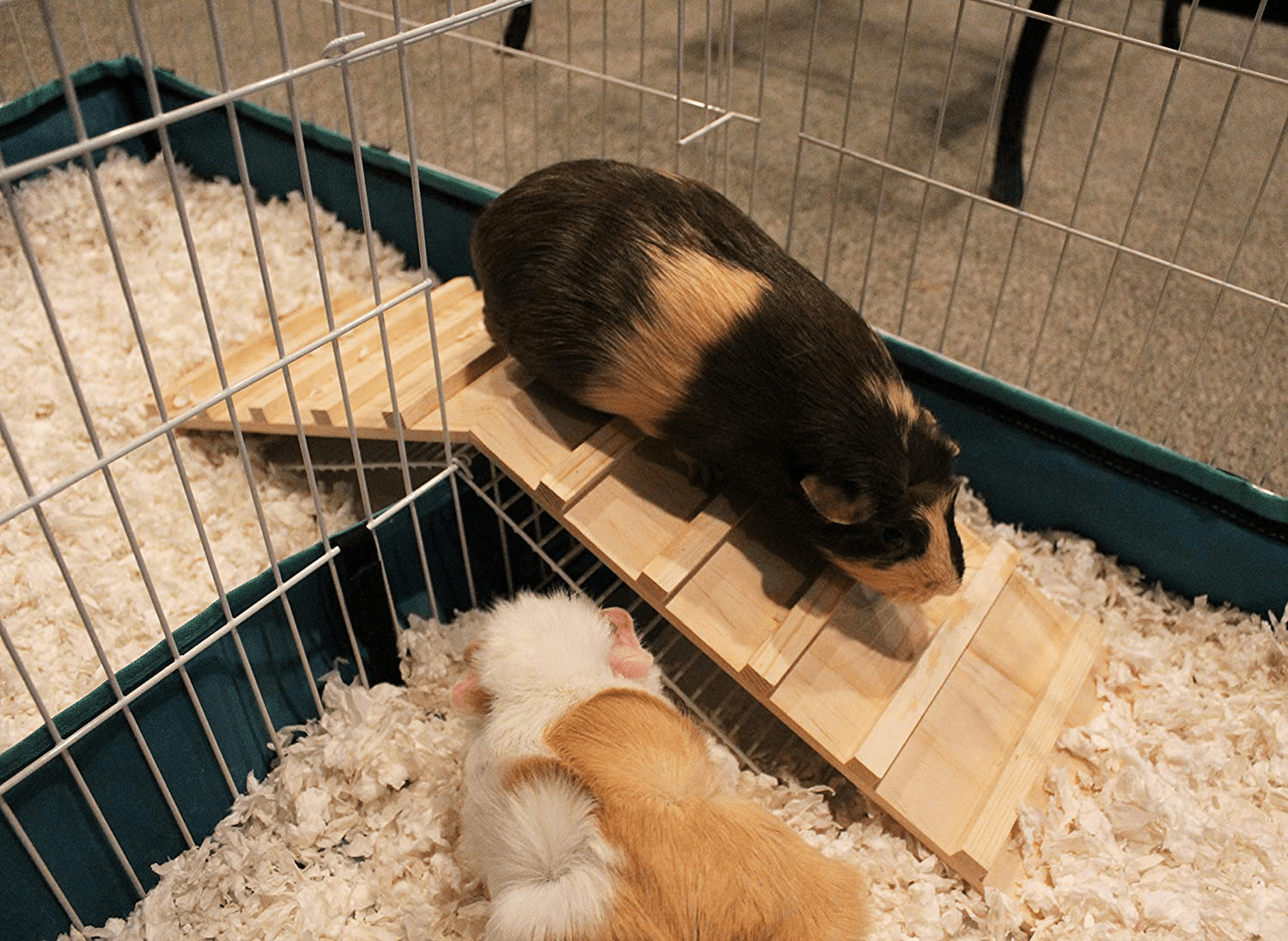 Wood Bridge for Small Animal Cage or Habitat - Guinea Pigs, Ferrets, Chinchillas, Hedgehog, Dwarf Rabbits and Other Small Animals Animals & Pet Supplies > Pet Supplies > Small Animal Supplies > Small Animal Habitats & Cages Pulse Brands   