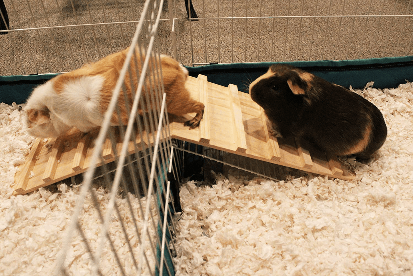 Wood Bridge for Small Animal Cage or Habitat - Guinea Pigs, Ferrets, Chinchillas, Hedgehog, Dwarf Rabbits and Other Small Animals Animals & Pet Supplies > Pet Supplies > Small Animal Supplies > Small Animal Habitats & Cages Pulse Brands   