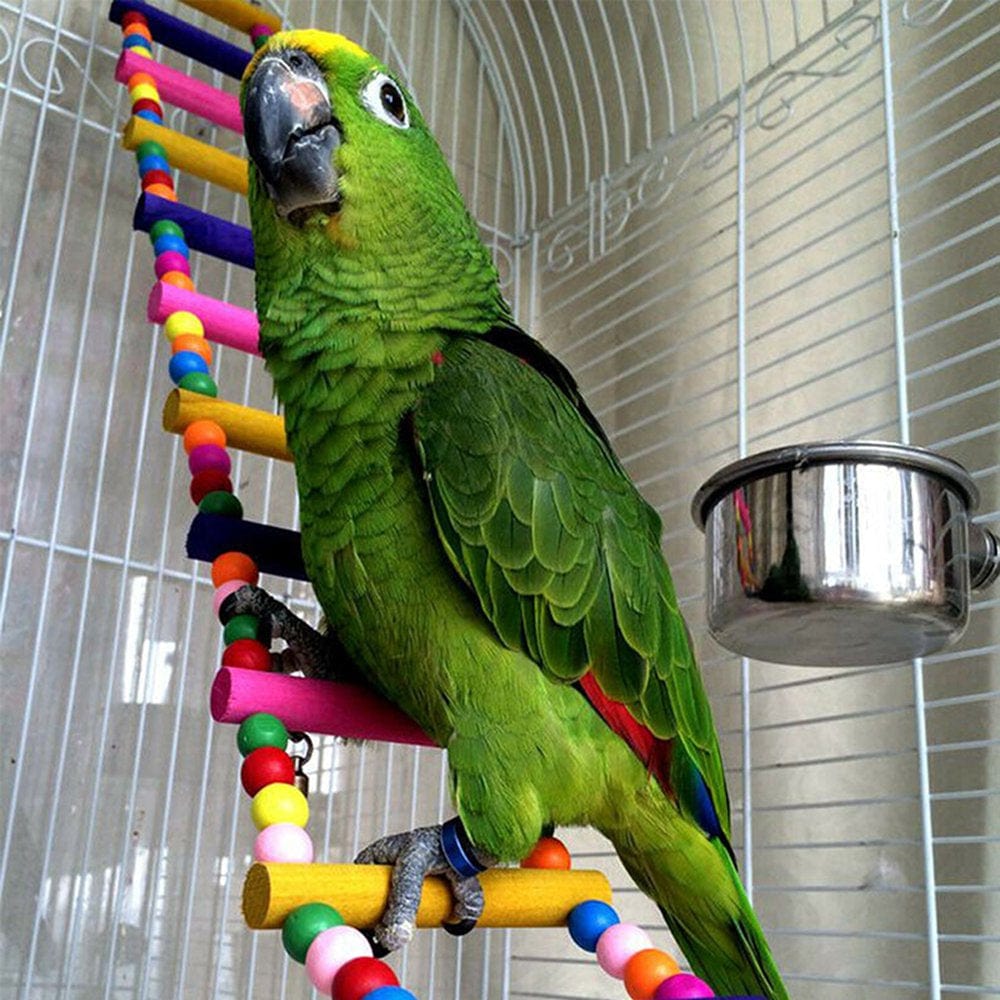 Wood Ladder Hanging Climbing Parrot Bird Toy Rope Harness Toys Parakeet Cableway Animals & Pet Supplies > Pet Supplies > Bird Supplies > Bird Toys LALLCAS   