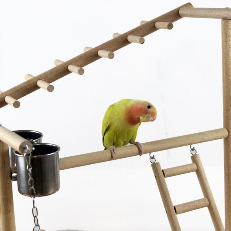 Wooden Bird Perch Stand with Feeder Cups Parrot Platform Playground Exercise Gym Playstand Ladder Interactive Toys F3002|Bird Perches Animals & Pet Supplies > Pet Supplies > Bird Supplies > Bird Gyms & Playstands KOL PET   