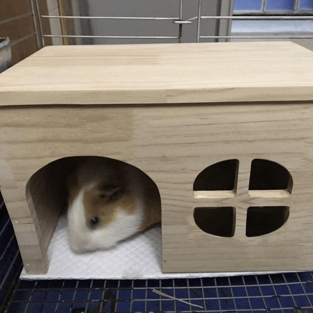 Wooden Hamster House,Natural Wood Hut Rat Hideout Habitat Decor Cage Accessories for Syrian Hamster Dwarf Mouse Small Animals