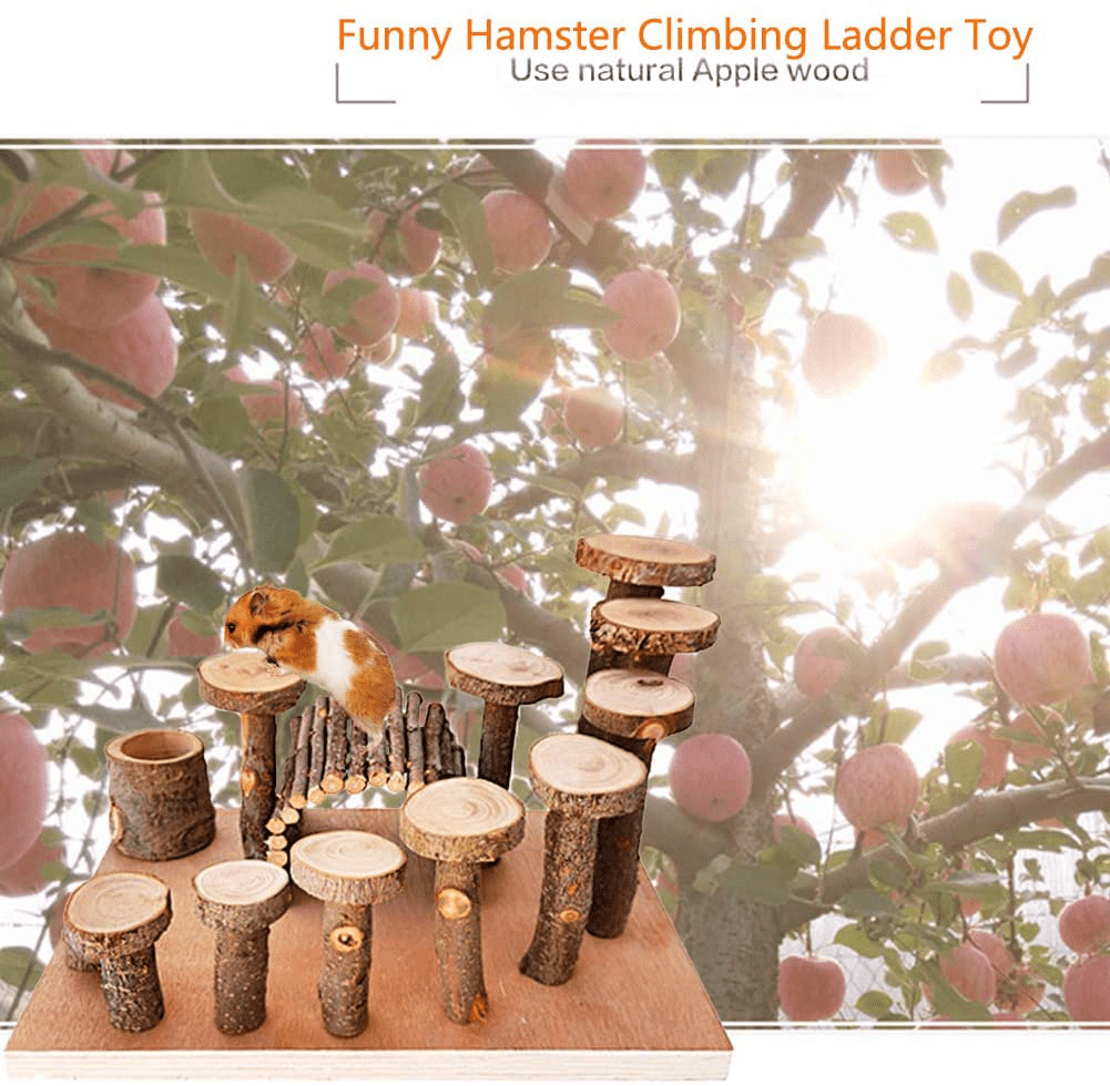 Wooden Hamster Platform Toy Chinchilla Activity Playground Stand Ladder Guinea Pigs Hideout Set Bridge Ramps Chew Toys for Mouse Dwarf Hamster Gerbil Rat Sugar Glider Syrian Hamster Small Animals Animals & Pet Supplies > Pet Supplies > Small Animal Supplies > Small Animal Habitat Accessories Tfwadmx   