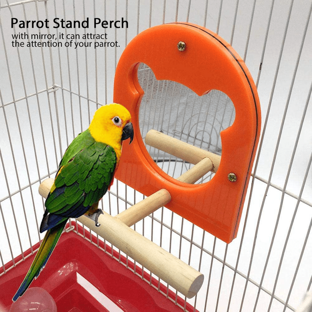 Wooden Parrot Stand Perch Rack, Wooden Parrot Playstand Bird Play Gym Ground Stand Rack with with Mirror Bird Playstand Toy Animals & Pet Supplies > Pet Supplies > Bird Supplies > Bird Gyms & Playstands Pssopp   