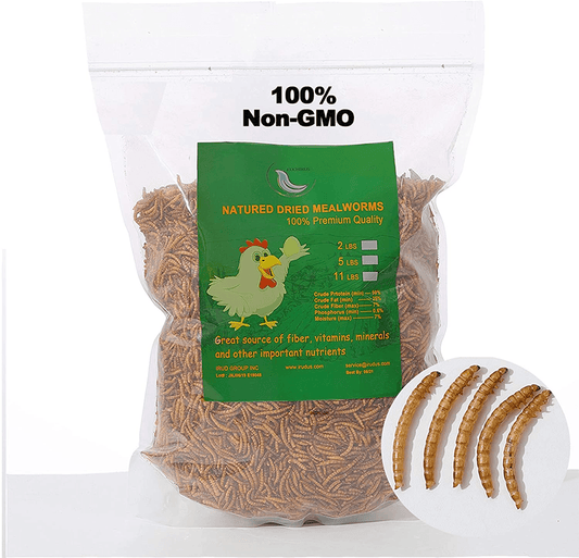 WORKPOINT Non-Gmo Dried Mealworms or Black Soldier Fly Larvae, 100% Non-Gmo Natural High-Protein, Treats for Chicken, Fish, Wild Birds, Bird Food, BSF Larvae Treats for Hens, Ducks Animals & Pet Supplies > Pet Supplies > Bird Supplies > Bird Treats WORKPOINT Mealworms 5 Pound (Pack of 1) 