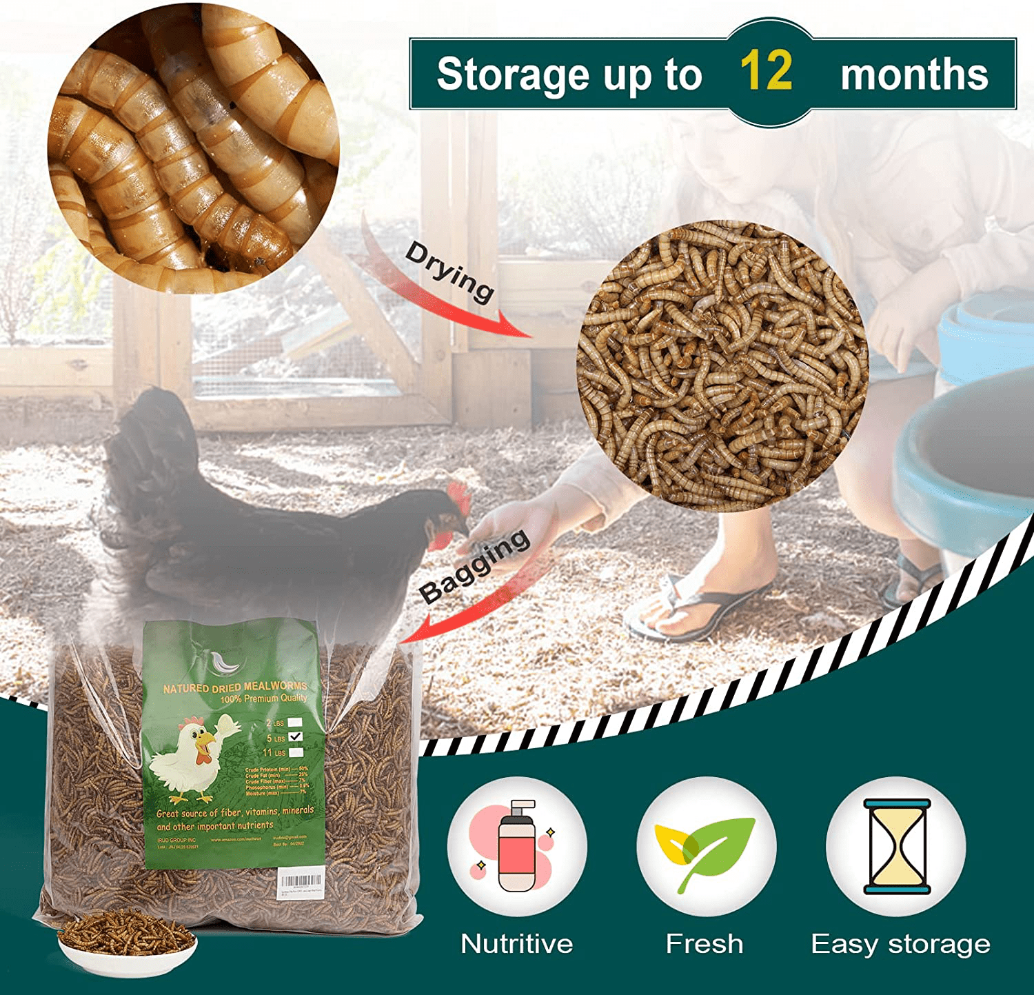 WORKPOINT Non-Gmo Dried Mealworms or Black Soldier Fly Larvae, 100% Non-Gmo Natural High-Protein, Treats for Chicken, Fish, Wild Birds, Bird Food, BSF Larvae Treats for Hens, Ducks Animals & Pet Supplies > Pet Supplies > Bird Supplies > Bird Treats WORKPOINT   