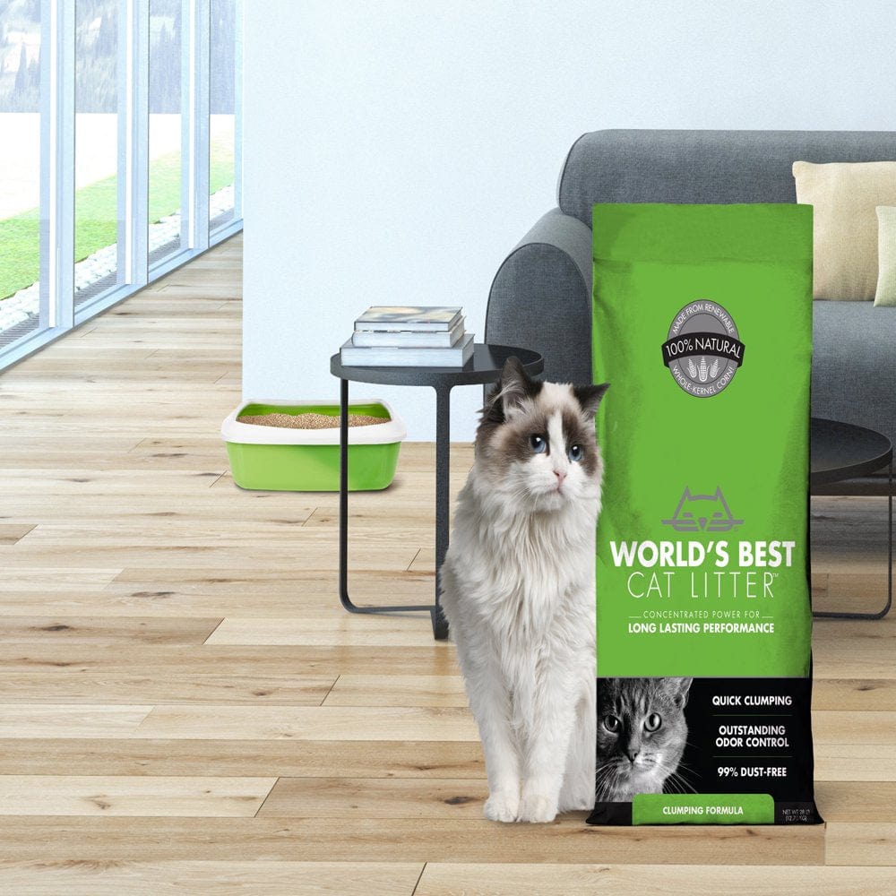 World'S Best Cat Litter Clumping Formula, 28 Lb Animals & Pet Supplies > Pet Supplies > Cat Supplies > Cat Litter Kent WB Cat Litter   