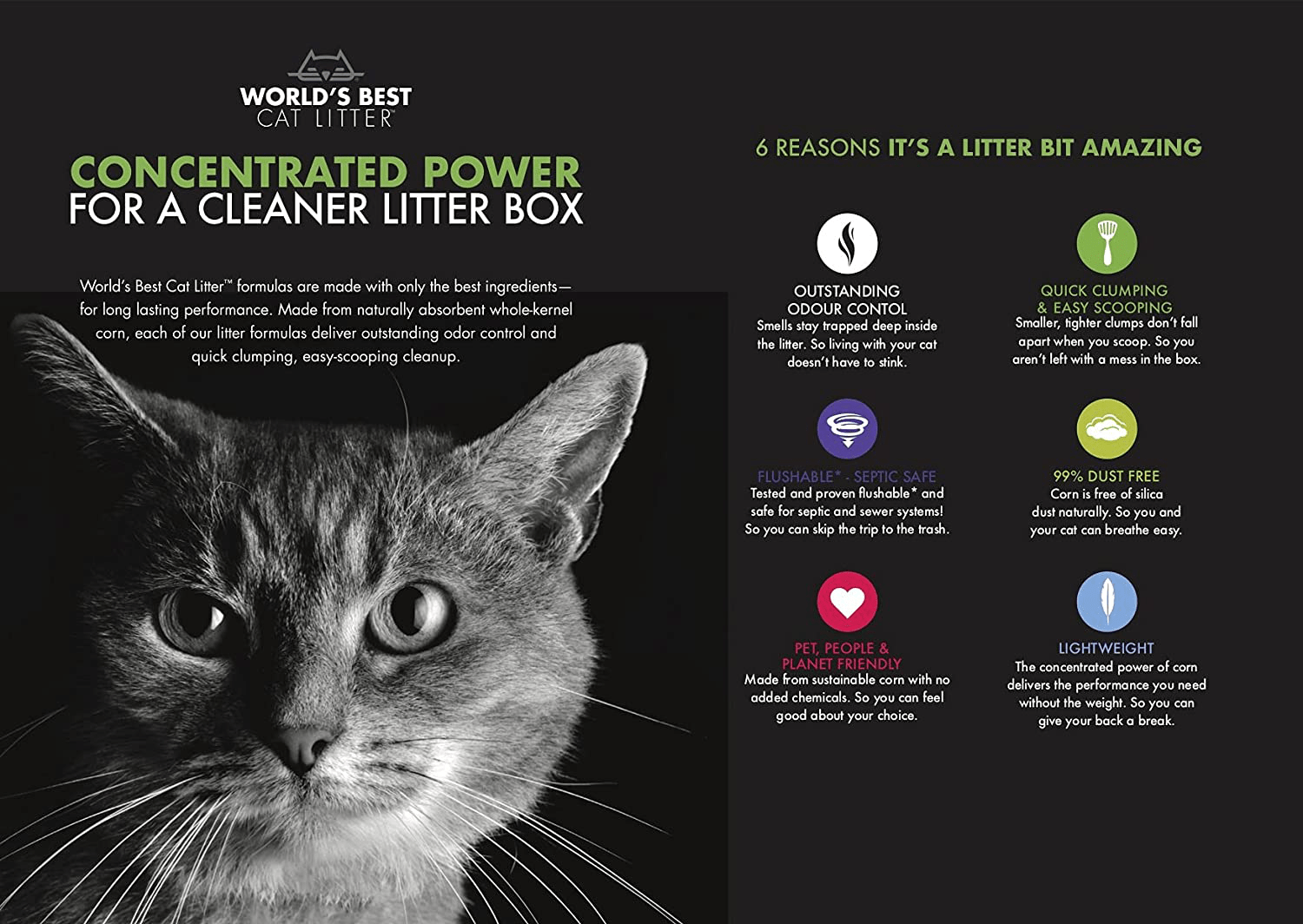 World'S Best Cat Litter, Clumping Litter Formula for Multiple Cats, 28-Pounds Animals & Pet Supplies > Pet Supplies > Cat Supplies > Cat Litter World's Best Cat Litter   