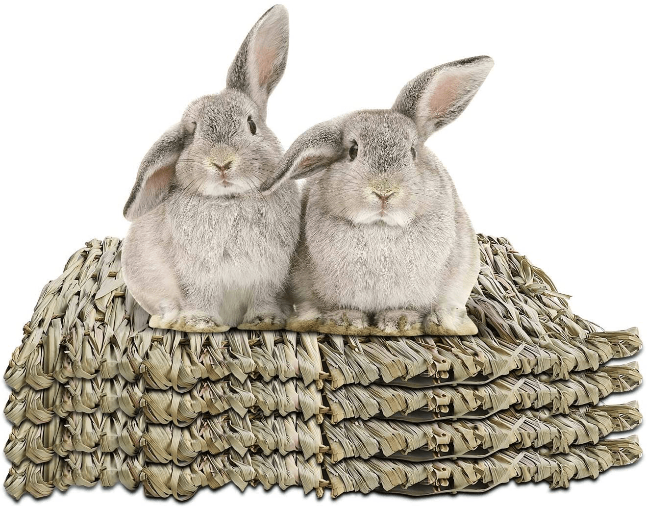 WUHOSTAM 4 Pack Grass Mat for Rabbits Natural Hay Woven Bed Mat for Sleeping, Chewing, Nesting, Play Toy Mats for Guinea Pig Parrot Rabbit Bunny Hamster Rat Animals & Pet Supplies > Pet Supplies > Small Animal Supplies > Small Animal Bedding WUHOSTAM 11.8 x 15.7 Inche-Reed  