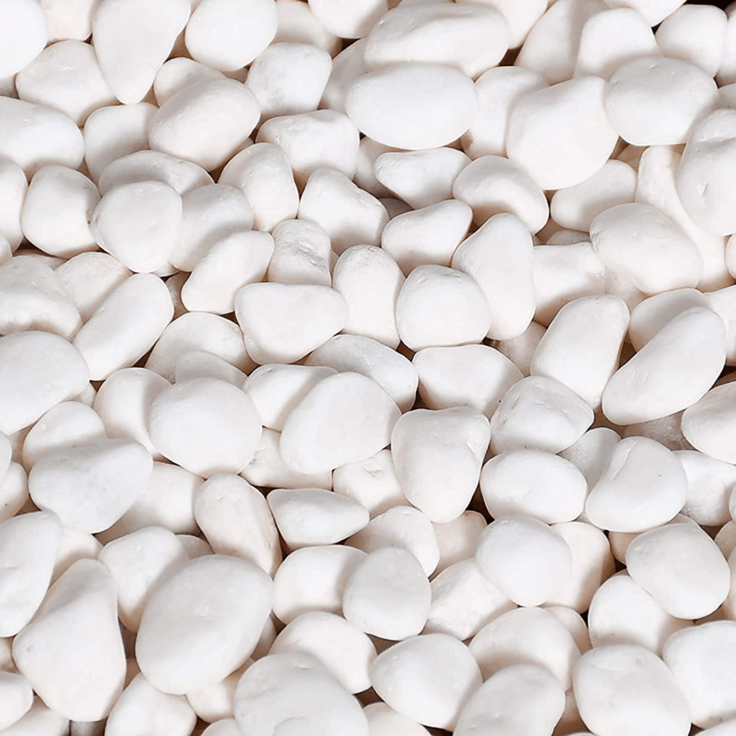 WUWEOT 6-Lb Natural Decorative Bean Pebbles, 0.2" Gravel Rocks for Plants, Succulents, Vases, Aquariums and Terrariums (White)