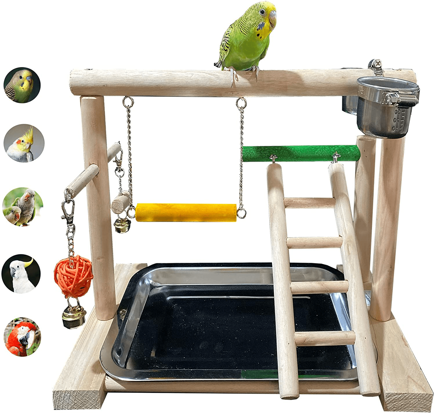 Wyunpets Bird Perch Playground Parrot Gym Stand with Feeder Seed Cups Ladder Bell Color Toys Conure Parakeet Macaw Cockatiel Finch Small Animals Animals & Pet Supplies > Pet Supplies > Bird Supplies > Bird Gyms & Playstands WYunPets   