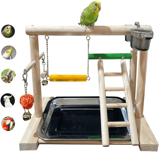 Wyunpets Bird Perch Playground Parrot Gym Stand with Feeder Seed Cups Ladder Bell Color Toys Conure Parakeet Macaw Cockatiel Finch Small Animals Animals & Pet Supplies > Pet Supplies > Bird Supplies > Bird Gyms & Playstands WYunPets   
