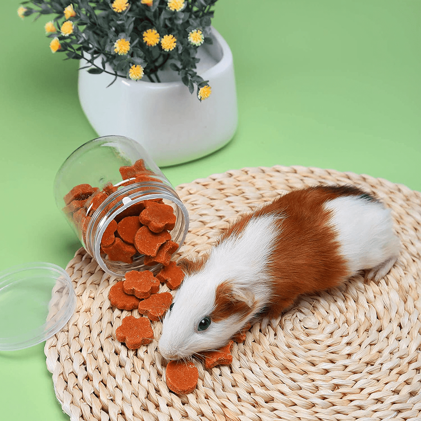 X-Pet Rabbit Chew Toys, Guinea Pig Treats 100% Natural Material Garden Stuff Flavored Biscuit&Grass Cake, Small Animals Teeth Grinding Chewing Suitable for Bunny Hamster Chinchilla Dwarf Gerbils Animals & Pet Supplies > Pet Supplies > Small Animal Supplies > Small Animal Food X-pet   