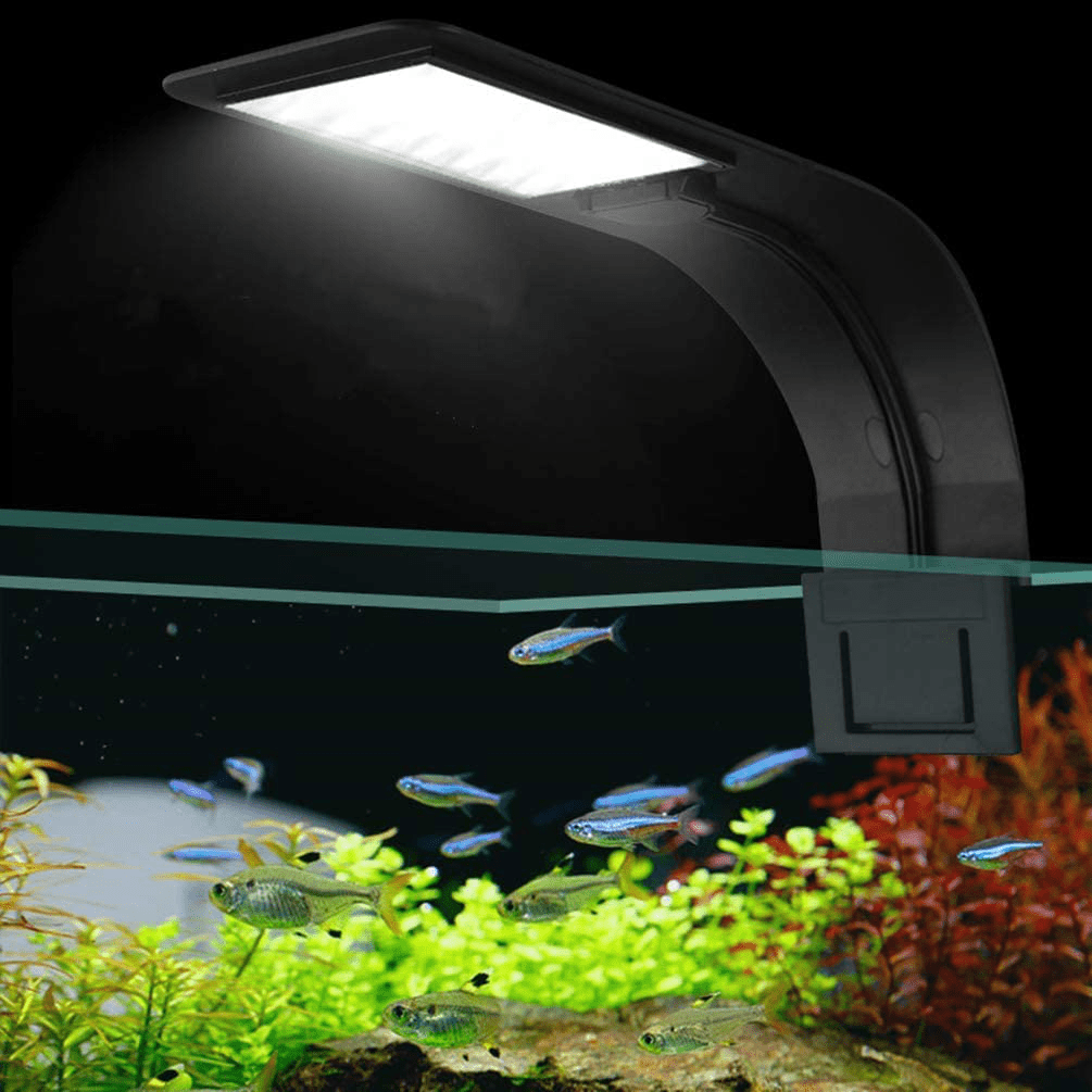 XEOGUIYA 10W Clip on Led Lamp Aquarium, 5730 24 Led Lights for 10-15Inch Fish Tank Aquatic Plant Lighting Animals & Pet Supplies > Pet Supplies > Fish Supplies > Aquarium Lighting Guinio   