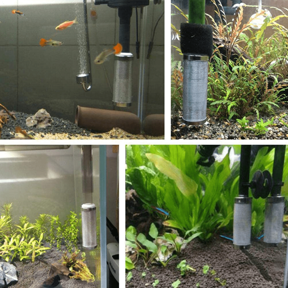 XEOGUIYA 2PCS 16Mm Inflow Mesh Fish Tank Filter Intake Strainer, Stainless Steel Mesh Filter for Protect Aquarium Filter Animals & Pet Supplies > Pet Supplies > Fish Supplies > Aquarium Filters XEOGUIYA   