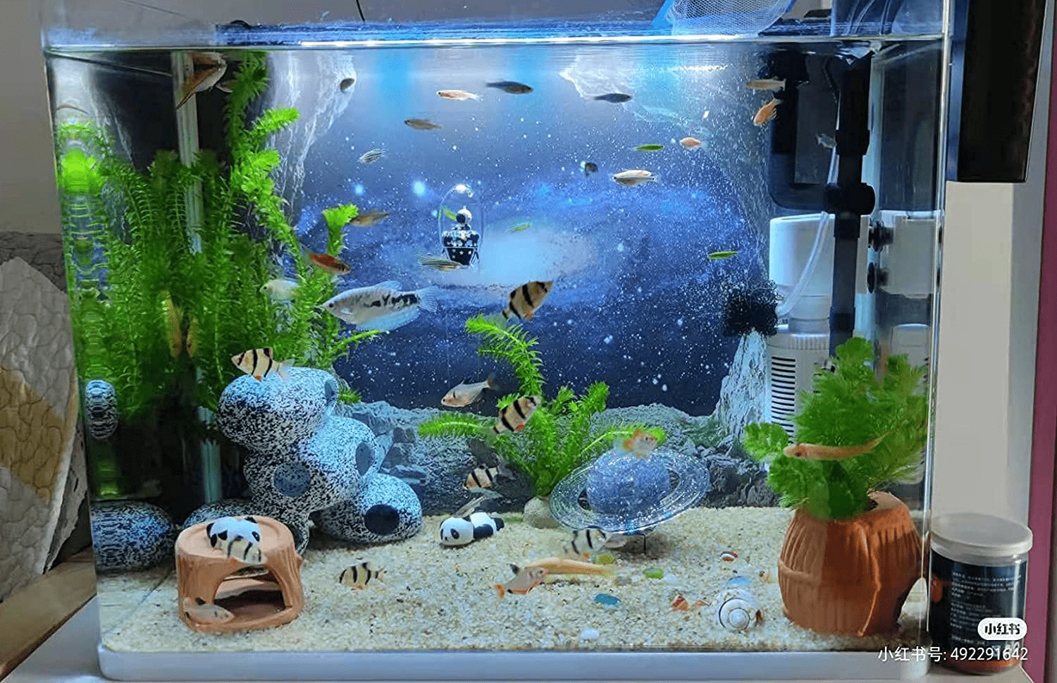 50 gallon fish tank filter clearance