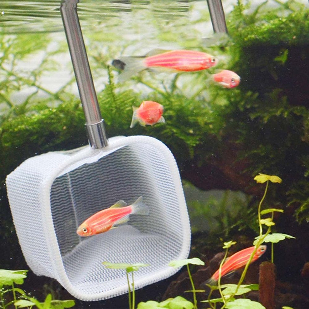 XINYTEC Aquarium Retractable 3D Stainless Steel Fishnet Pocket Shrimp Catching Fish for Tank Cleaning Net round / Square Shape Optional Gadgets Accessories