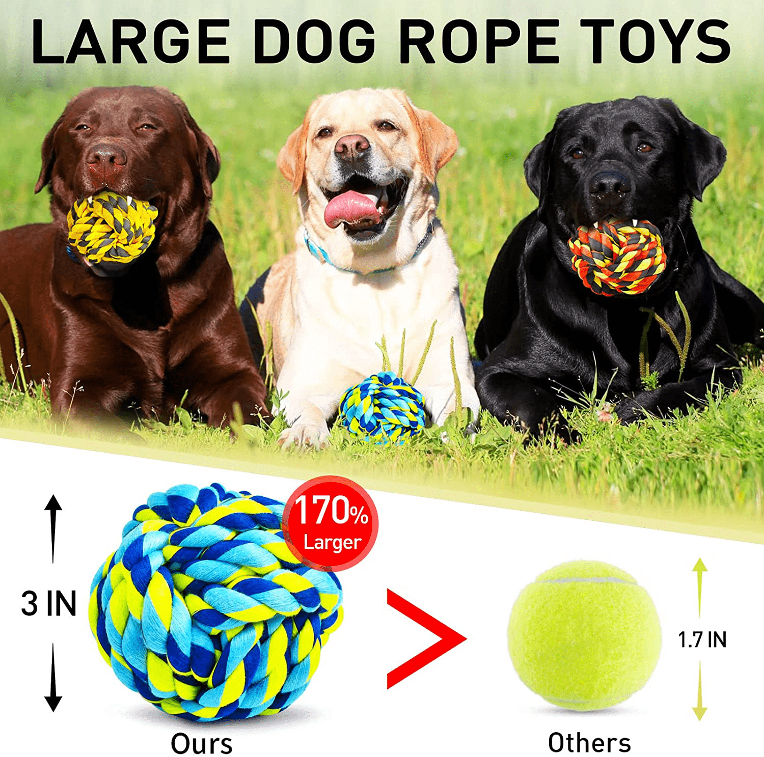 Large best sale dog supplies