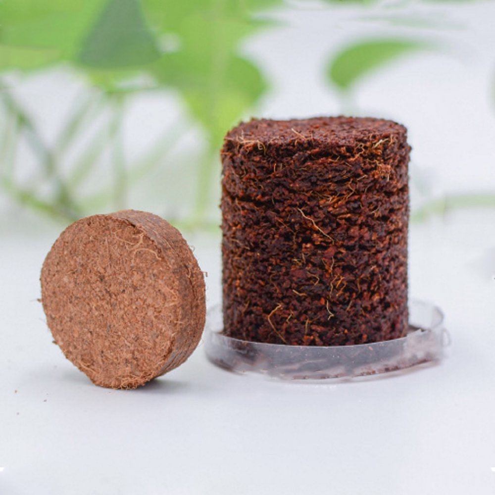 XROMTBEM 5Pcs Tortoise Eco Earth Home Gardening Substrate for Reptile Habitat Decoration Animals & Pet Supplies > Pet Supplies > Fish Supplies > Aquarium Gravel & Substrates XROMTBEM   