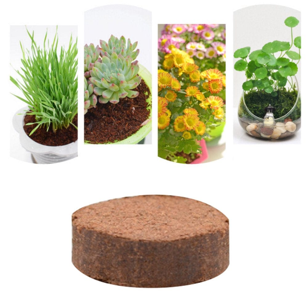XROMTBEM 5Pcs Tortoise Eco Earth Home Gardening Substrate for Reptile Habitat Decoration Animals & Pet Supplies > Pet Supplies > Fish Supplies > Aquarium Gravel & Substrates XROMTBEM   