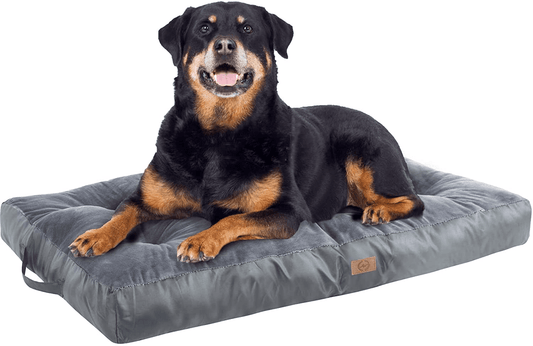 Xuemi Dog Beds for Large Dogs, Soft Comfortable Cat and Dog Crate Mattress with Waterproof Bottom, Deluxe Plush Pet Cushion Animals & Pet Supplies > Pet Supplies > Dog Supplies > Dog Beds XueMi Grey 2XL-36 inches 