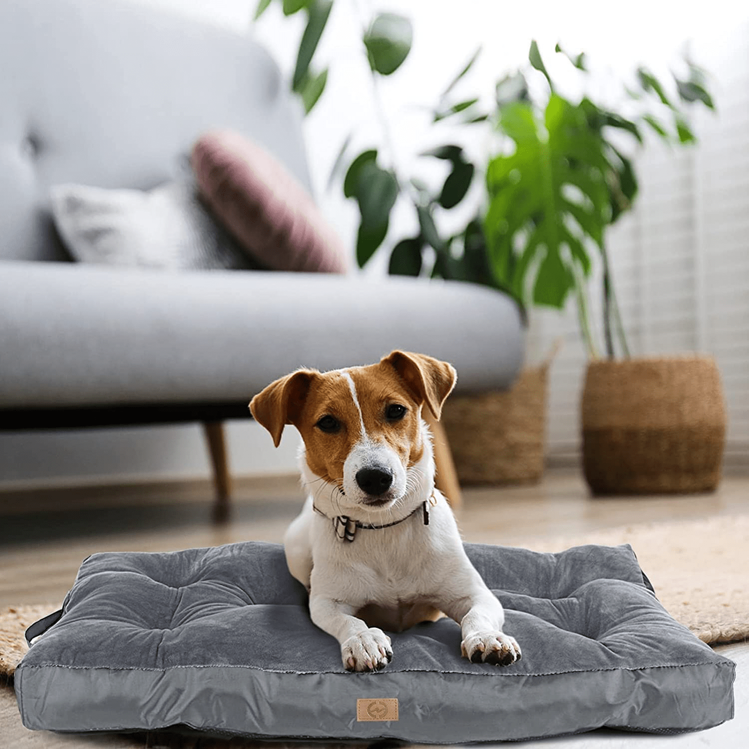 Xuemi Dog Beds for Large Dogs Soft Comfortable Cat and Dog Crate