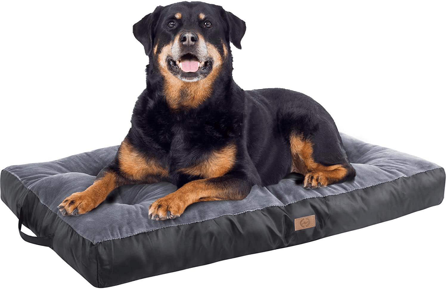 Comfortable dog shop beds large dogs