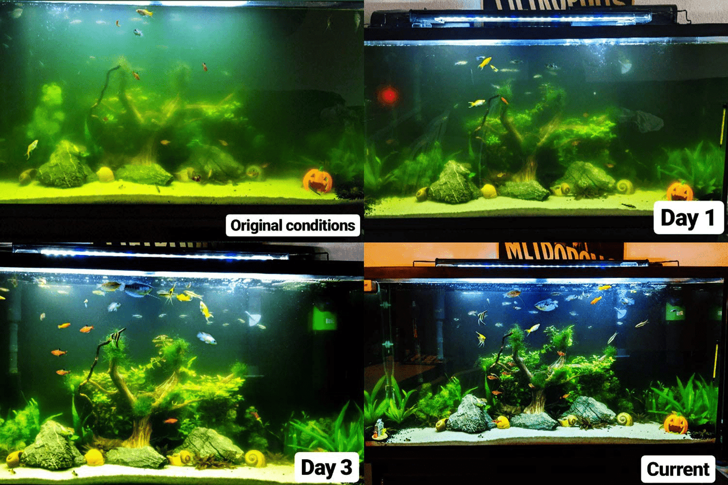 YADICO Aquarium Green Water Killer Filter Pump 9W 200GPH for Fish and Plant Tank Animals & Pet Supplies > Pet Supplies > Fish Supplies > Aquarium Filters YADICO   